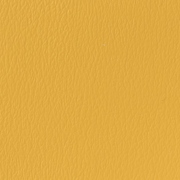 Golden Corn